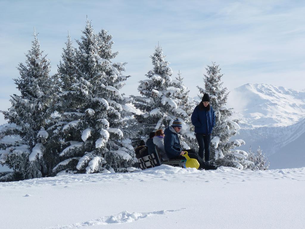 크란스몬타나 Chalet Des Alpes B&B 외부 사진