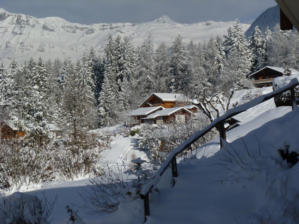 크란스몬타나 Chalet Des Alpes B&B 외부 사진