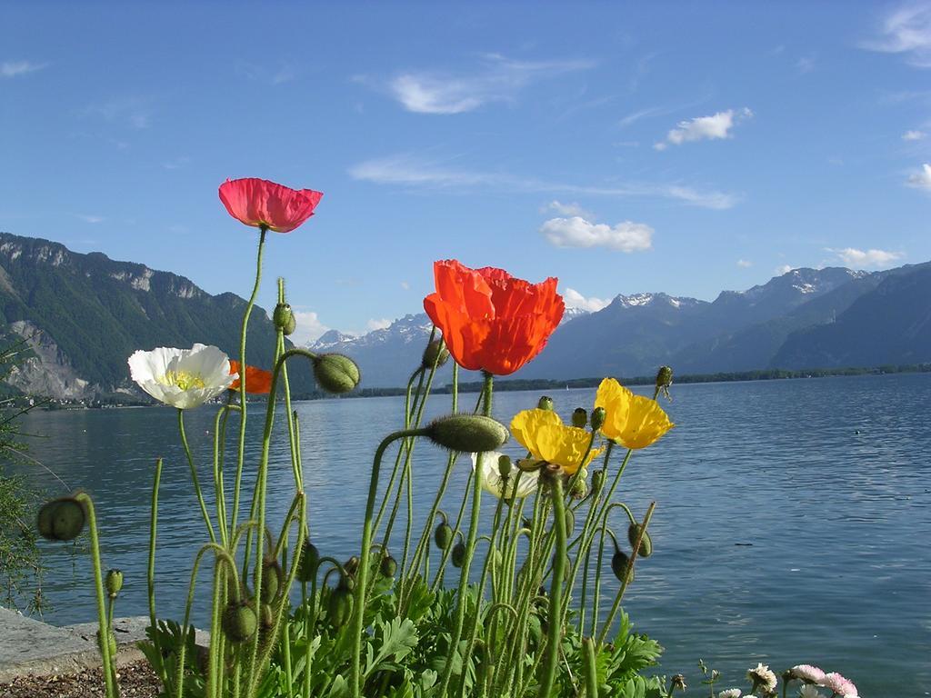 Chalet Des Alpes - Sunset View - 크란스몬타나 외부 사진