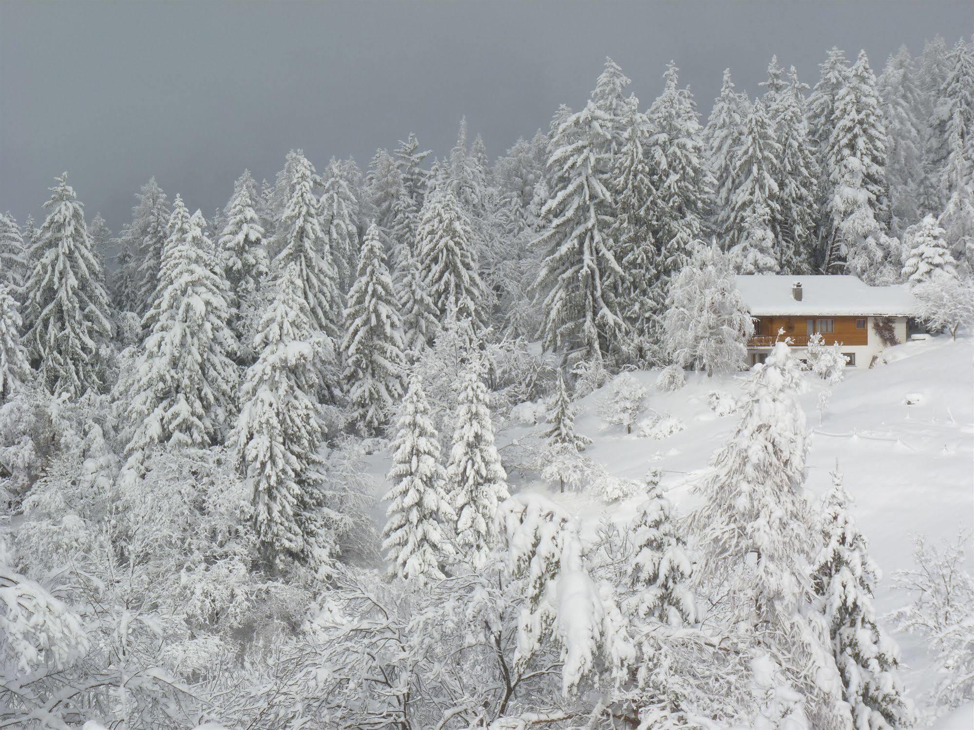 크란스몬타나 Chalet Des Alpes B&B 외부 사진